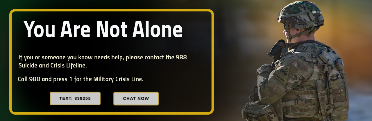 home hero suicide
